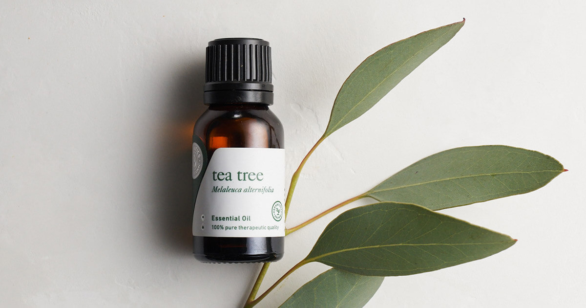 How Tea Tree Oil Works in Natural Cleaning Spray