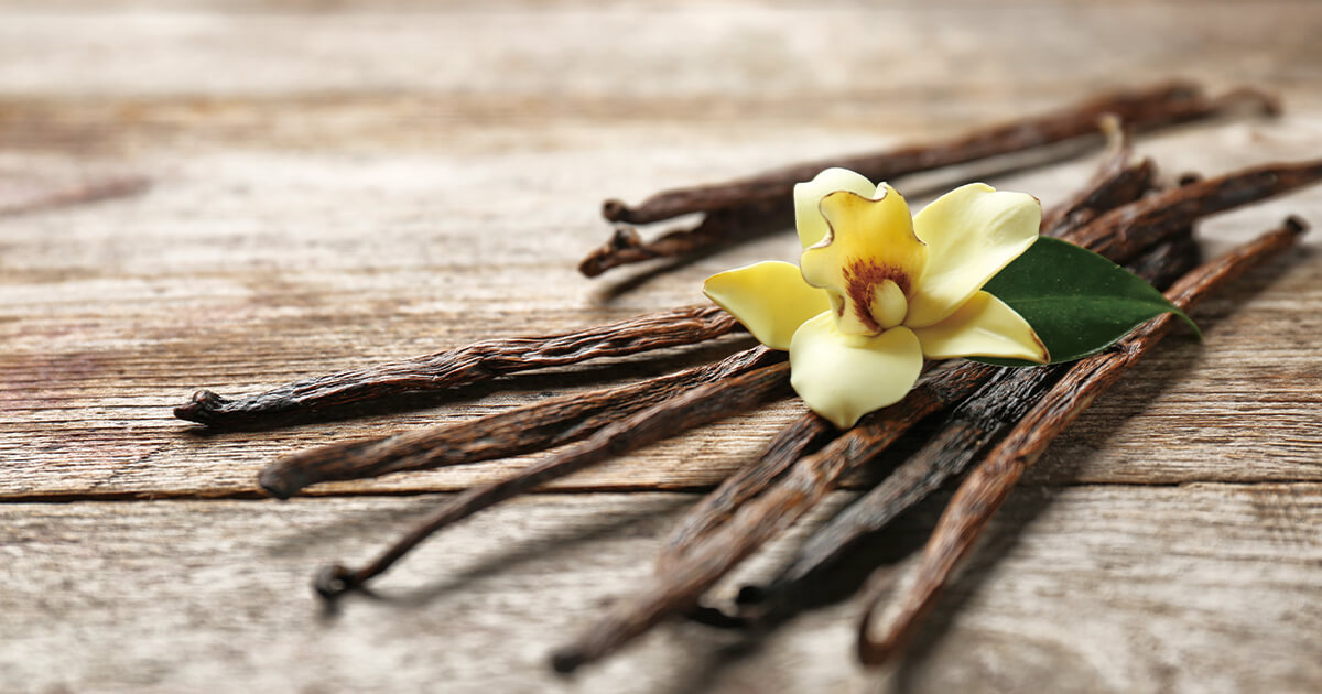 how-to-make-vanilla-infused-jojoba