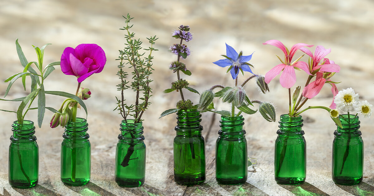 Where to Buy Pure Essential Oils (& Why it Matters)