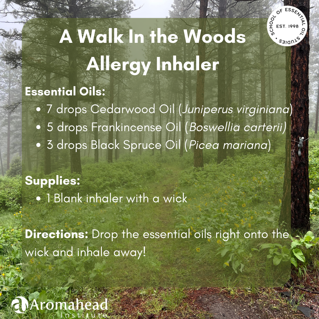 A Walk in The Woods Recipe